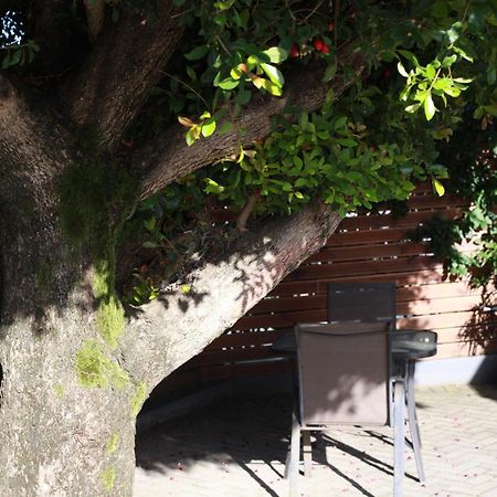 Reef View Bnb Ист-Лондон Экстерьер фото